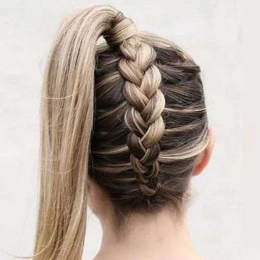 1706946380461.webp