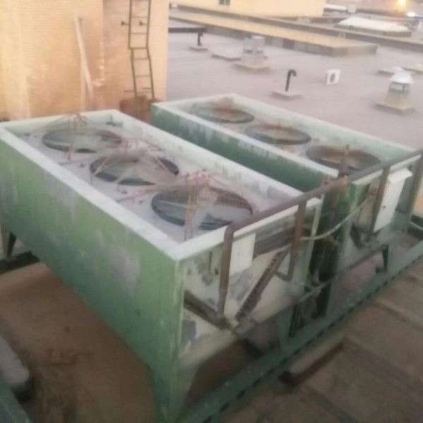 1707122786646.webp