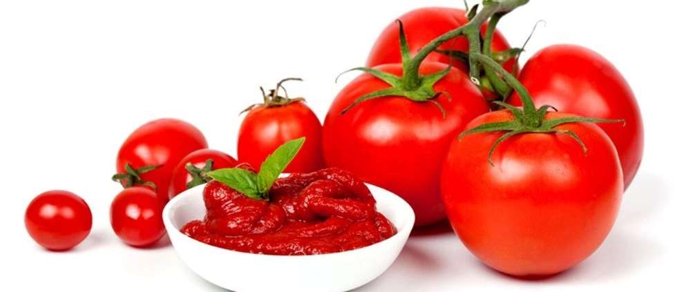 Our tomato paste export