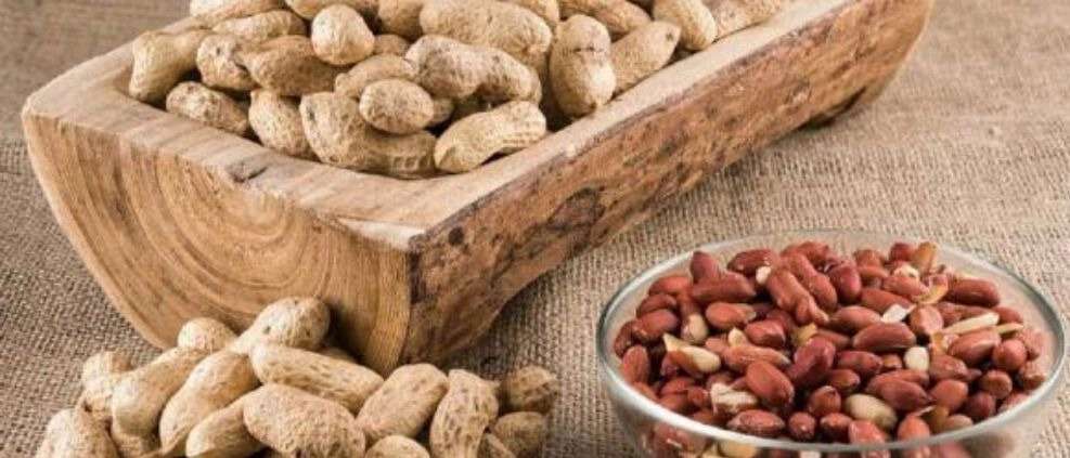 تصدير الفول السوداني الحيدري