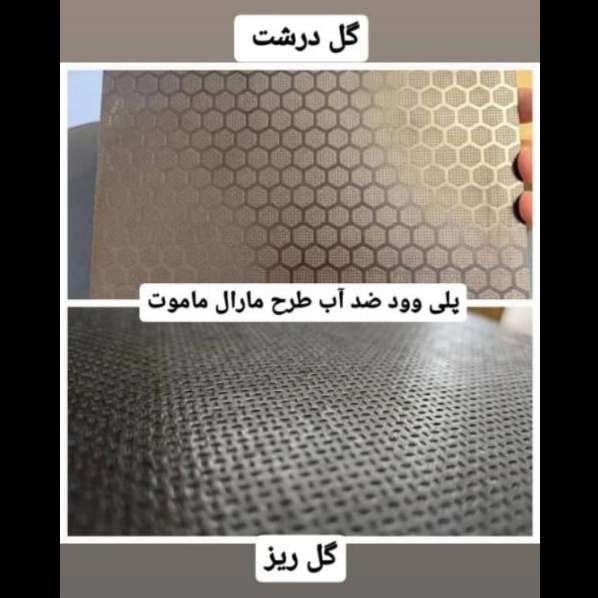 1707549907927.webp