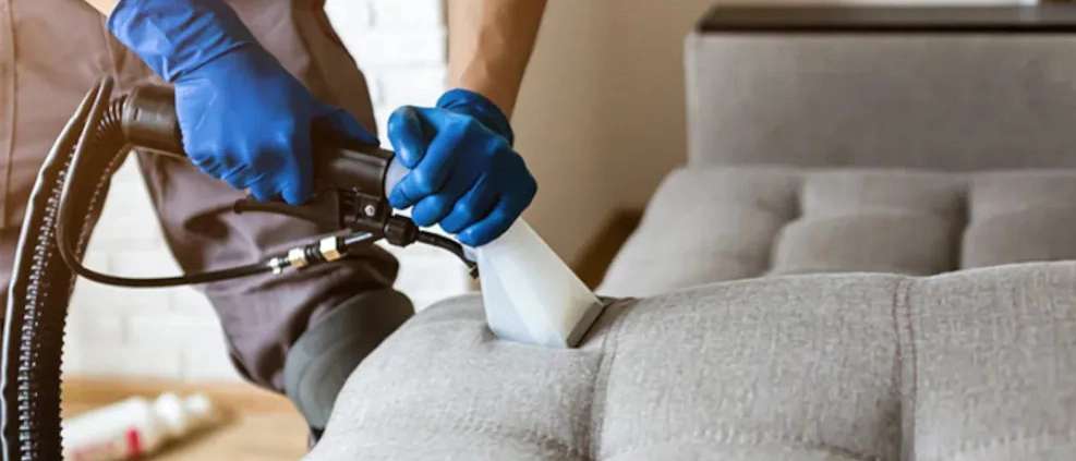 Art sofa and carpet cleaning