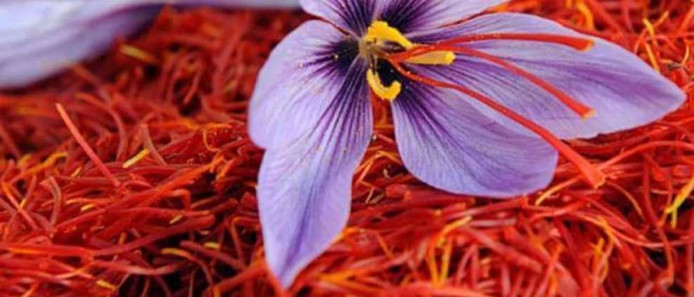 Selling saffron 101