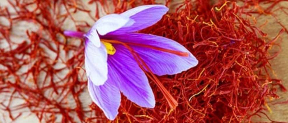 Selling saffron 101
