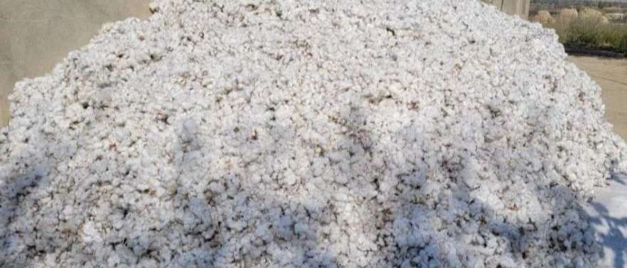 Khorasan cotton mills
