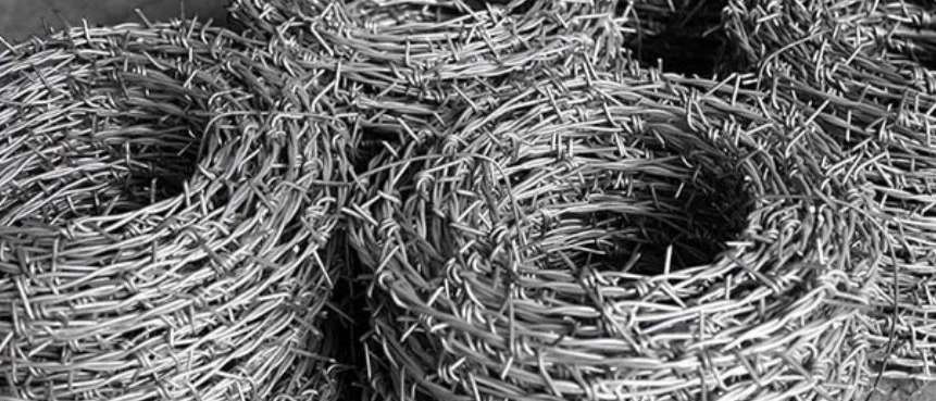 Fence and barbed wire