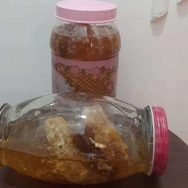 1708162285007.webp