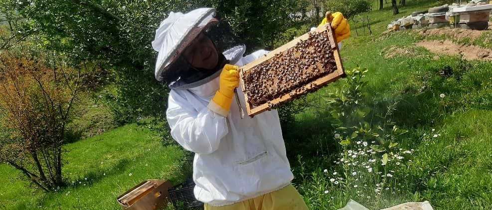 Production and sale of Abbaszadeh honey