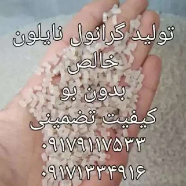 1708501677042.webp