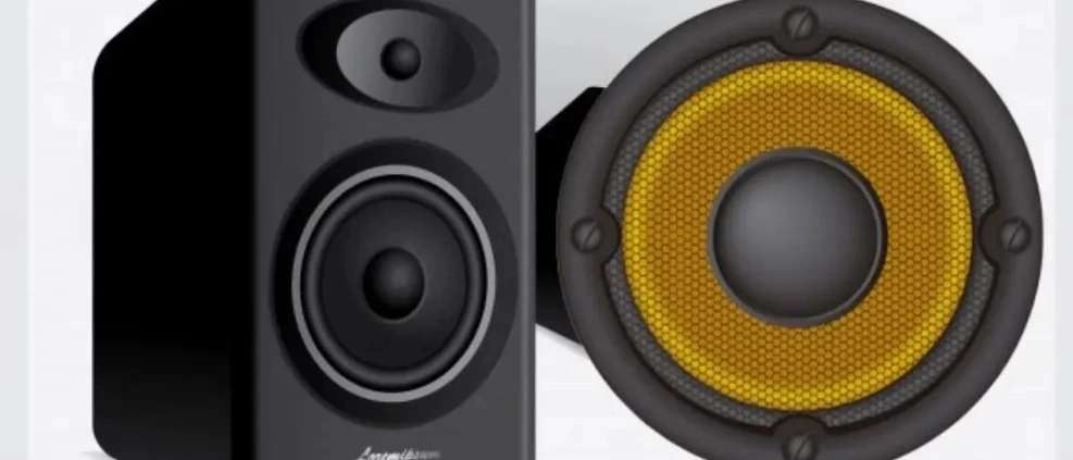 Loudspeaker parts in Iran