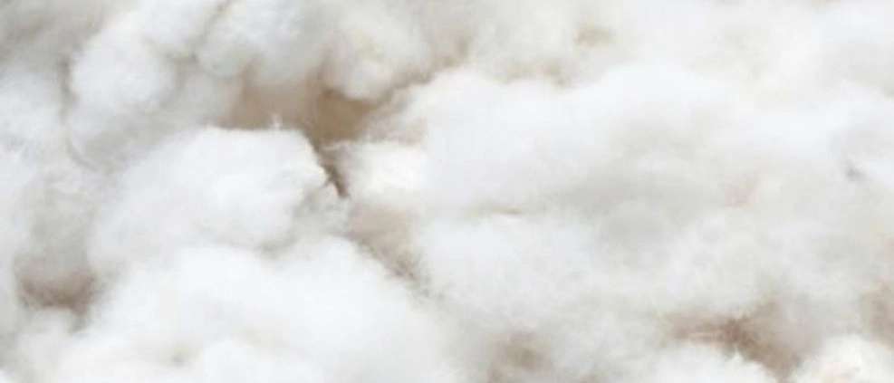 Khorasan cotton mills