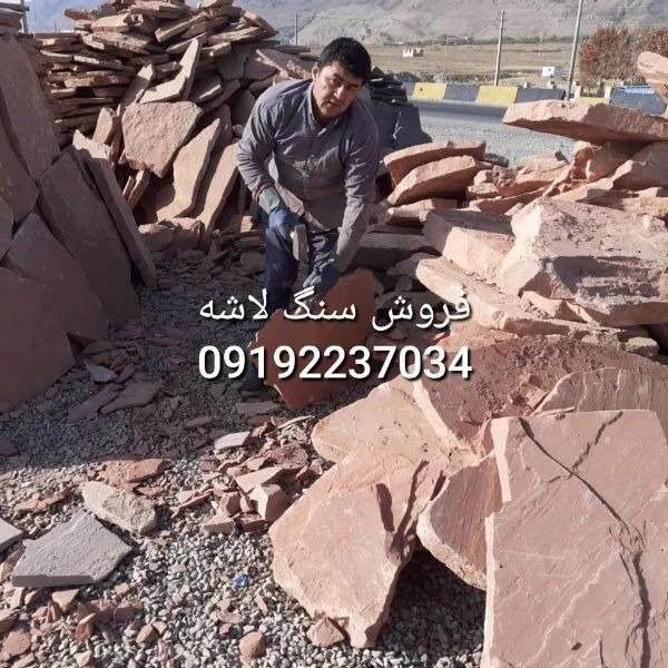 1709275000104.webp