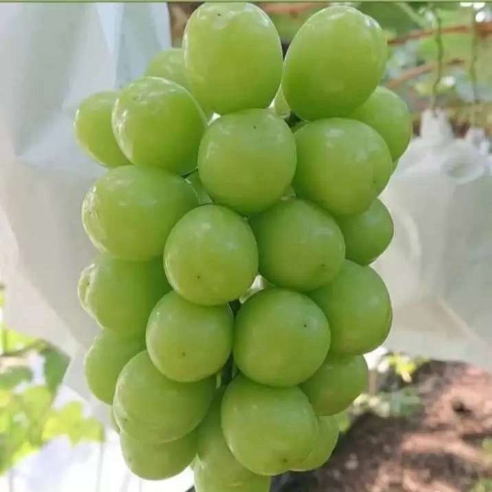 1709635116962.webp