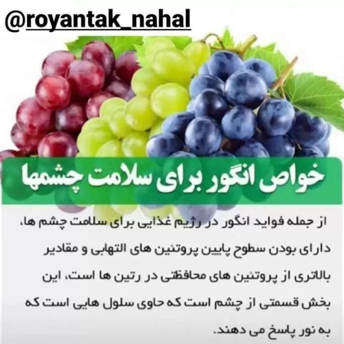 1709635219626.webp