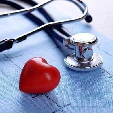 1709635240266.webp