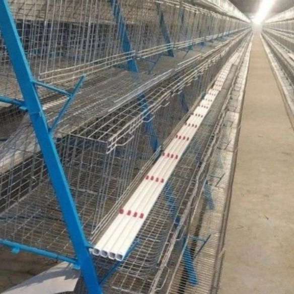 1713345580839.webp
