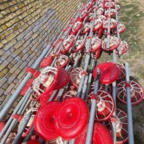 1713346934434.webp
