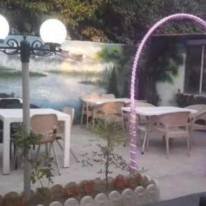 1713592306785.webp