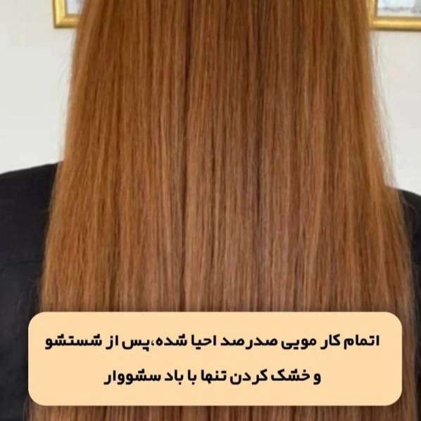 1714565257948.webp
