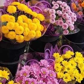 1715151446920.webp
