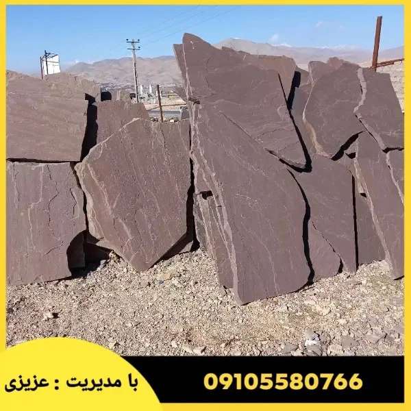 1715491840902.webp