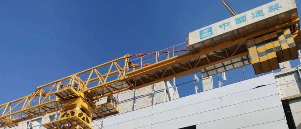 Import of tower cranezoomlion7020