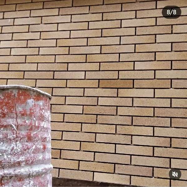 1717825701828.webp