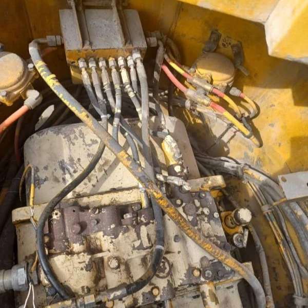 1717829039154.webp