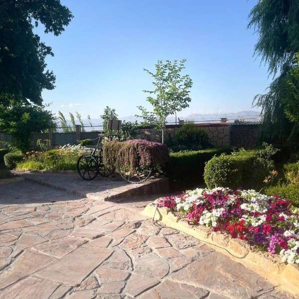1717916286826.webp