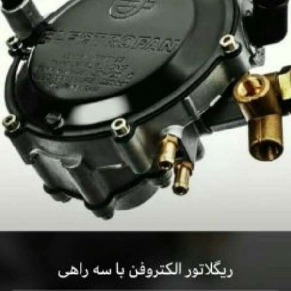 1722413466489.webp
