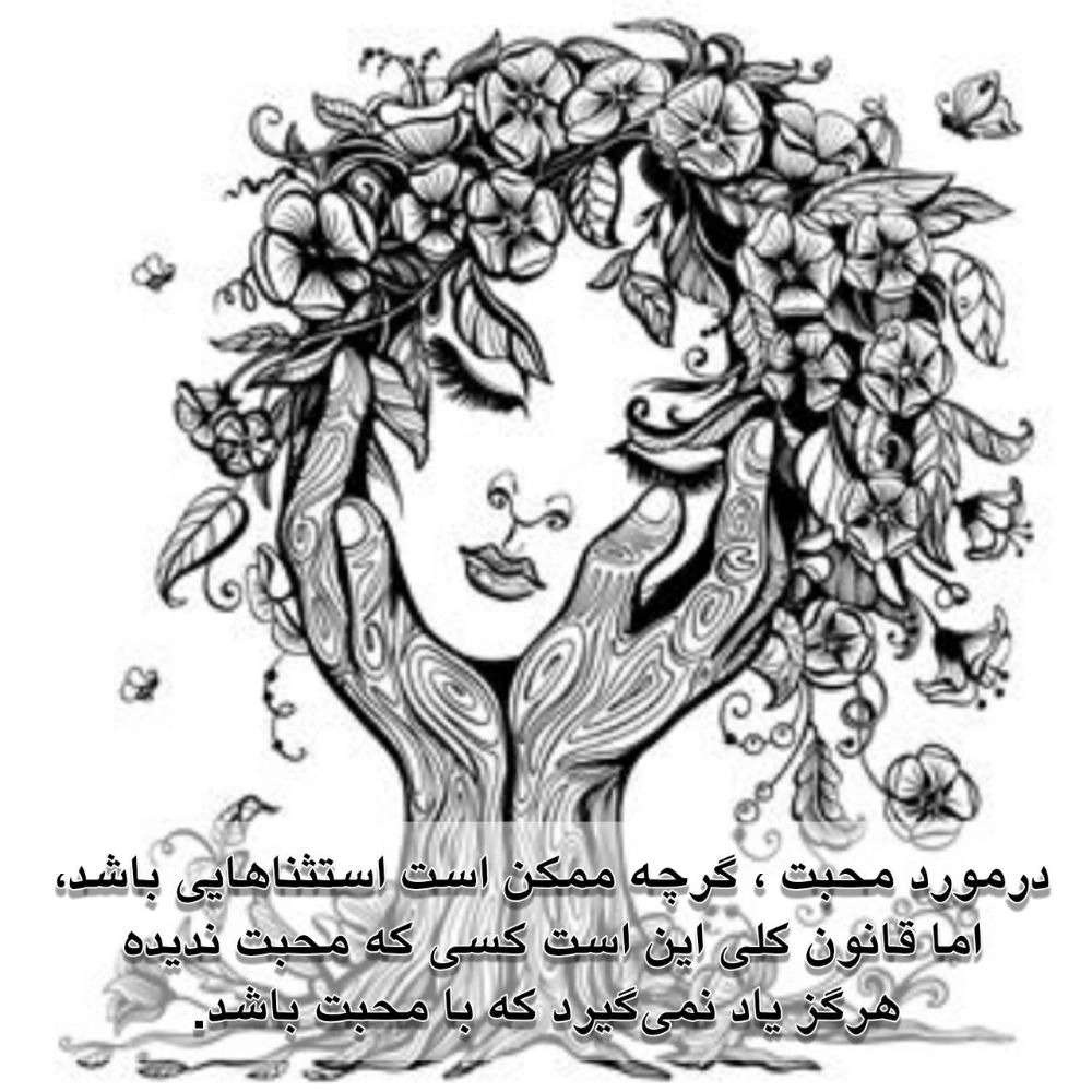 1726484627275.webp