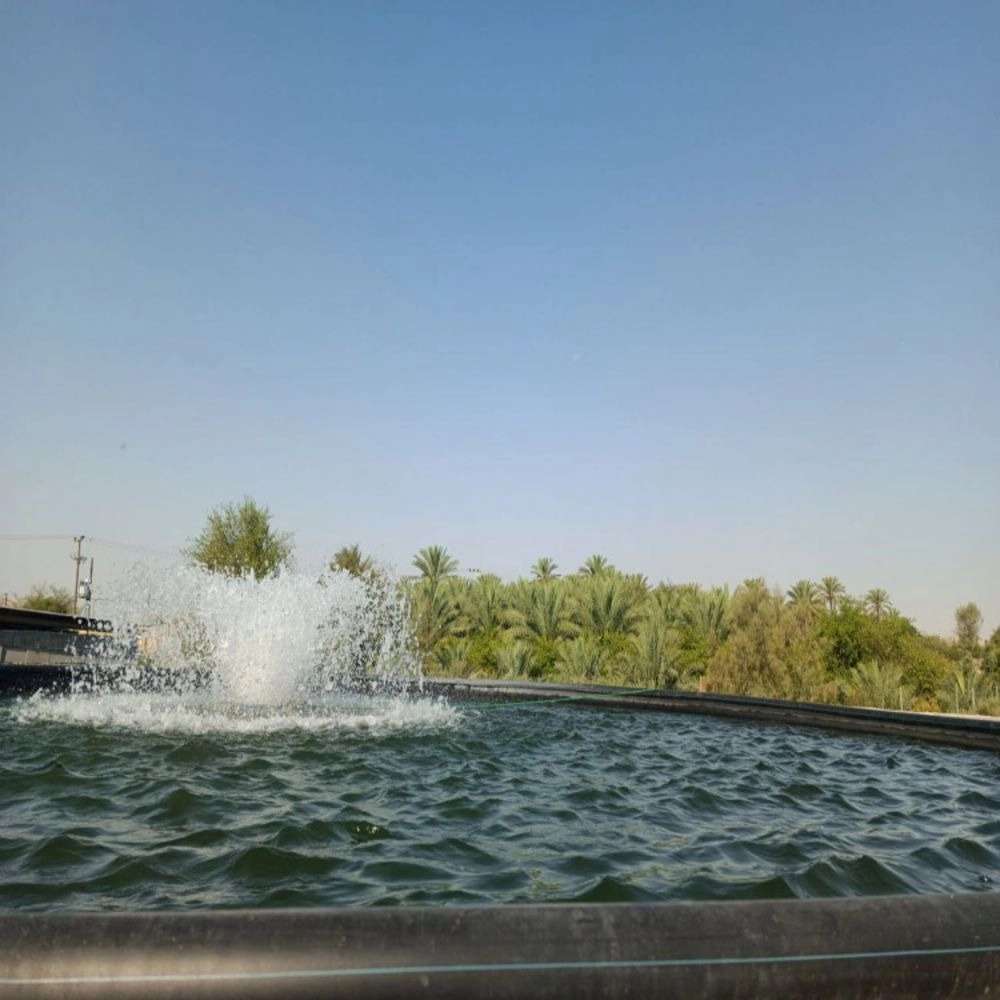 1727258036195.webp
