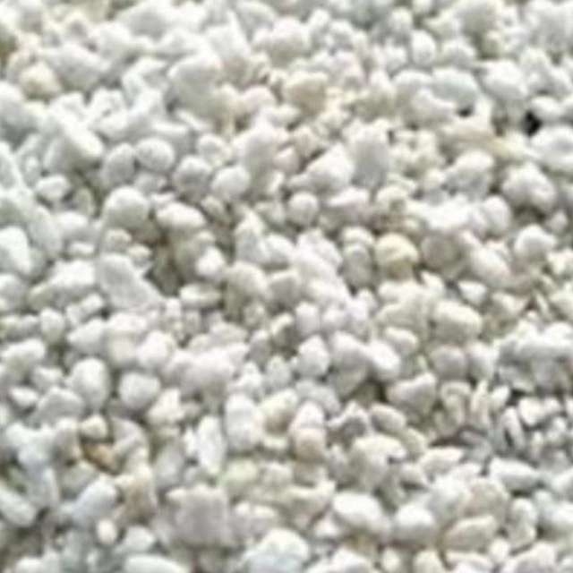 1729584279669.webp