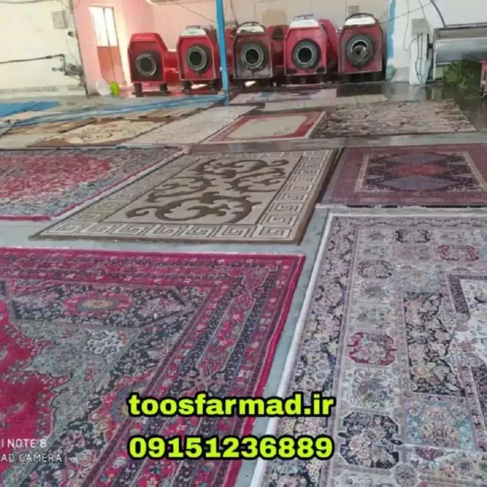 1730181887651.webp