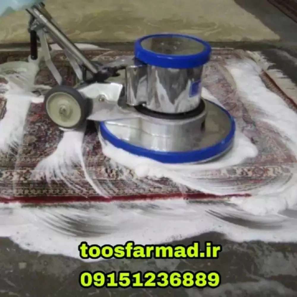 1730182213402.webp