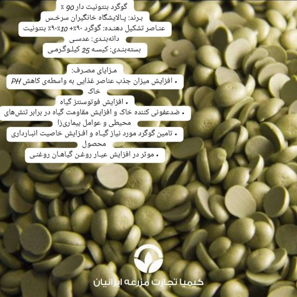 1730541019148.webp