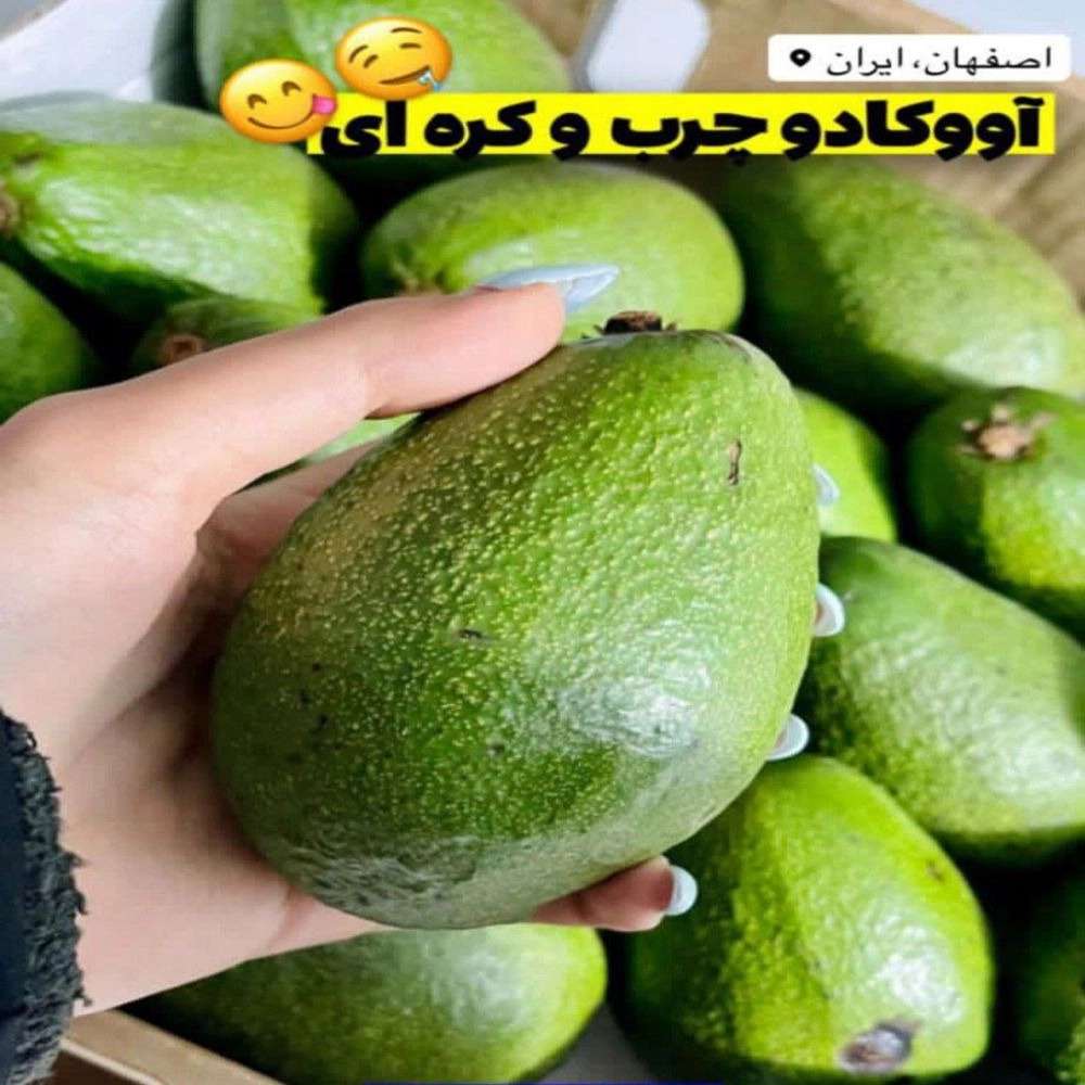1733732076426.webp