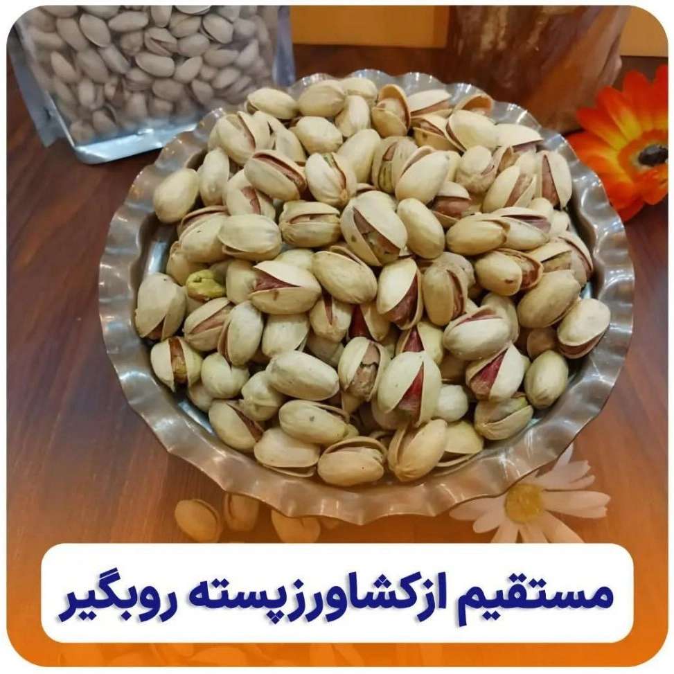 1733911922186.webp