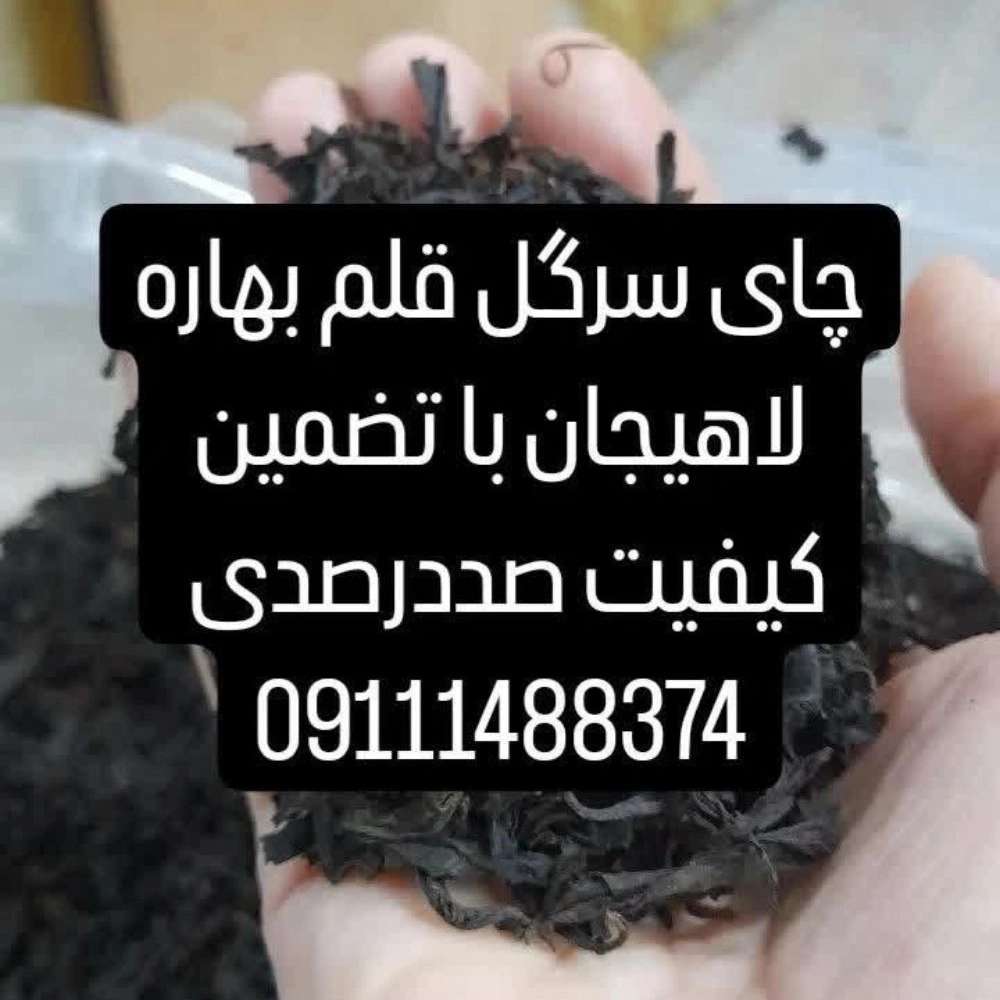 1734589501186.webp