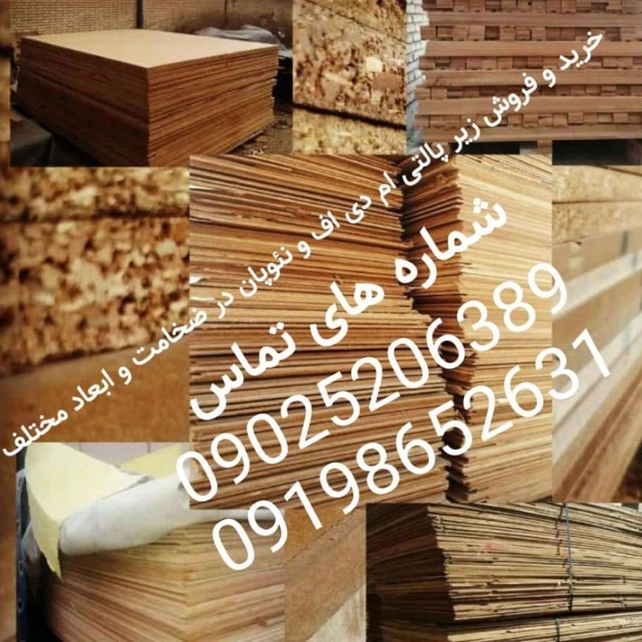 1744264175650.webp
