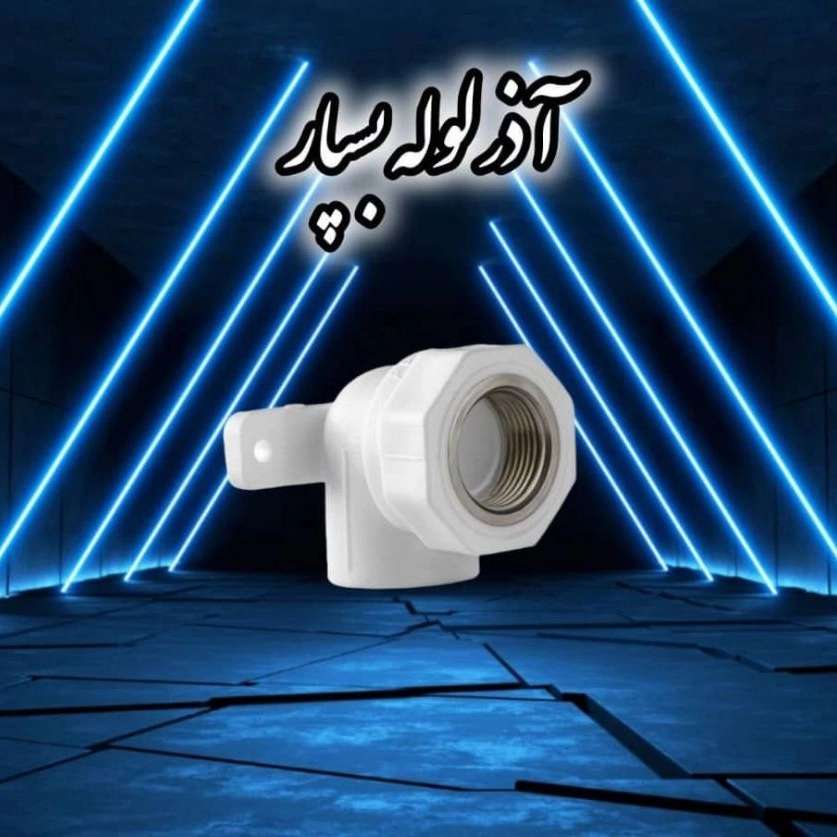 1755600540187.webp