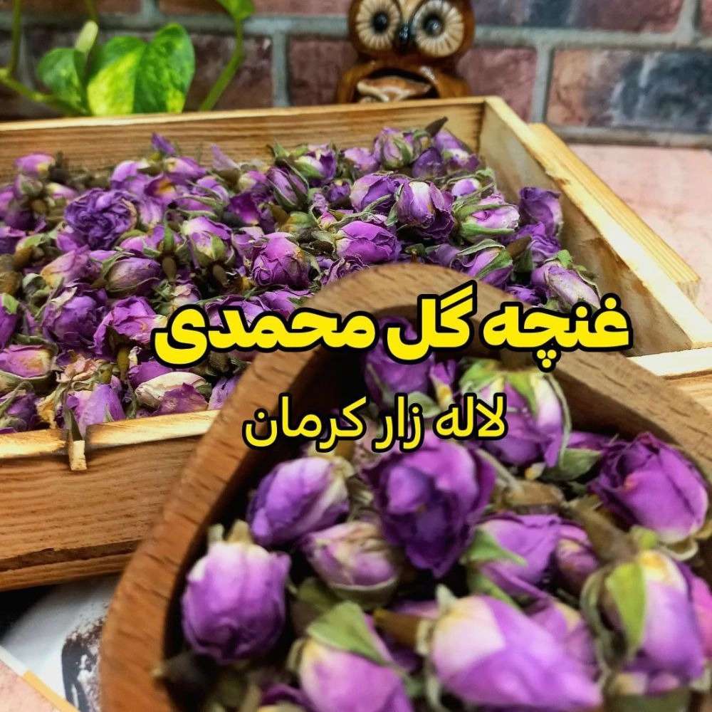 1760444395271.webp