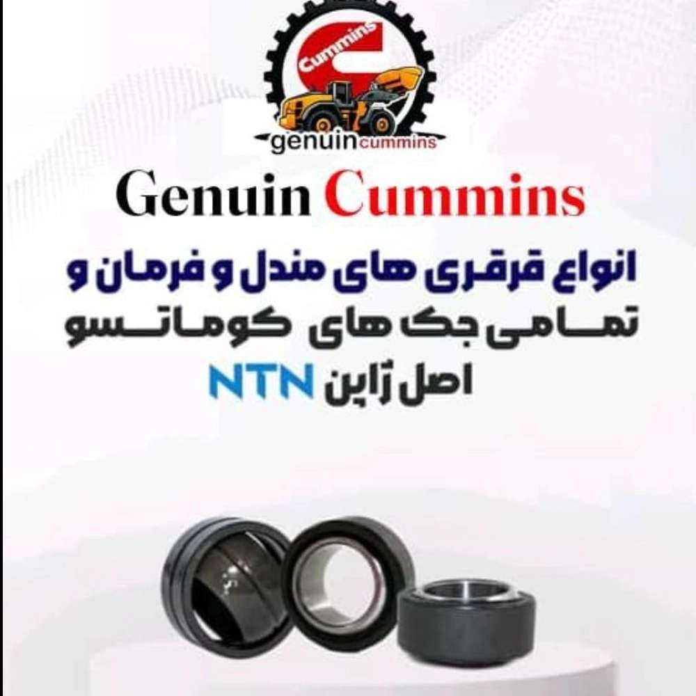 1765884003764.webp