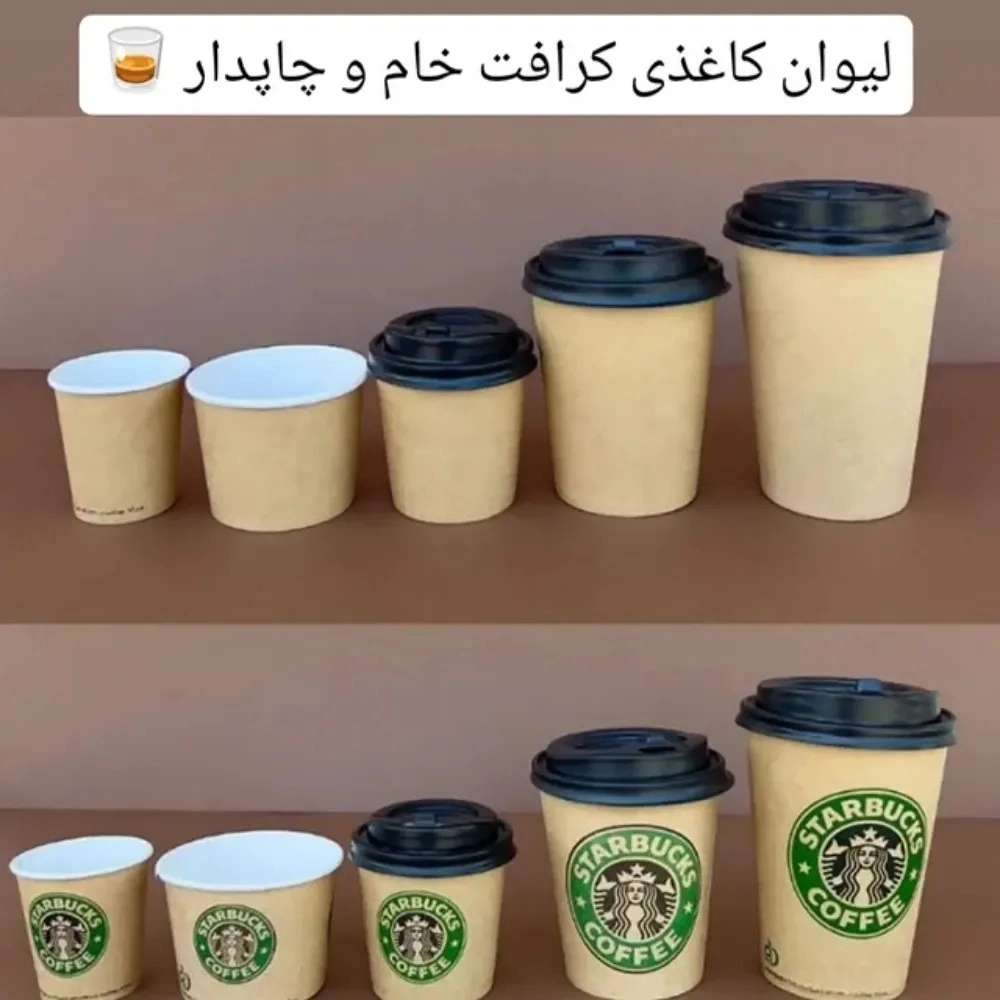 1781677977873.webp