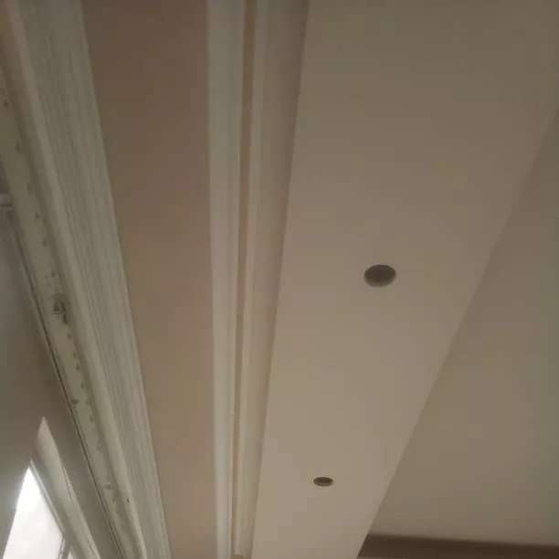 1687939191501.webp