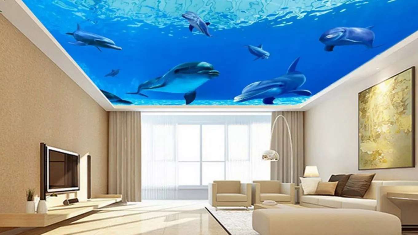 Art May stretch ceiling