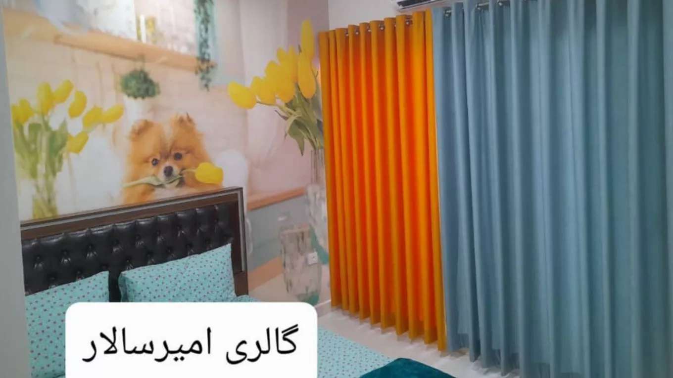 Amir Salar Gallery