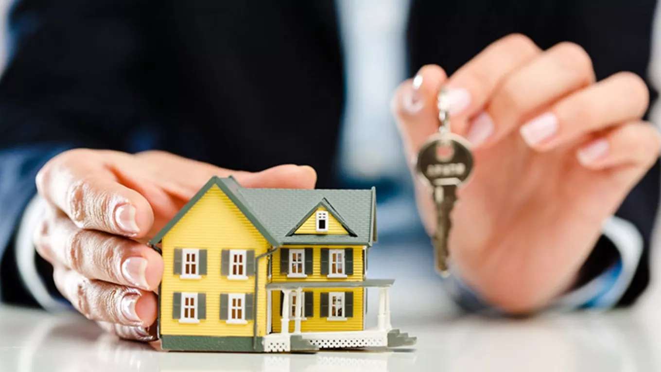 Real estate consultant