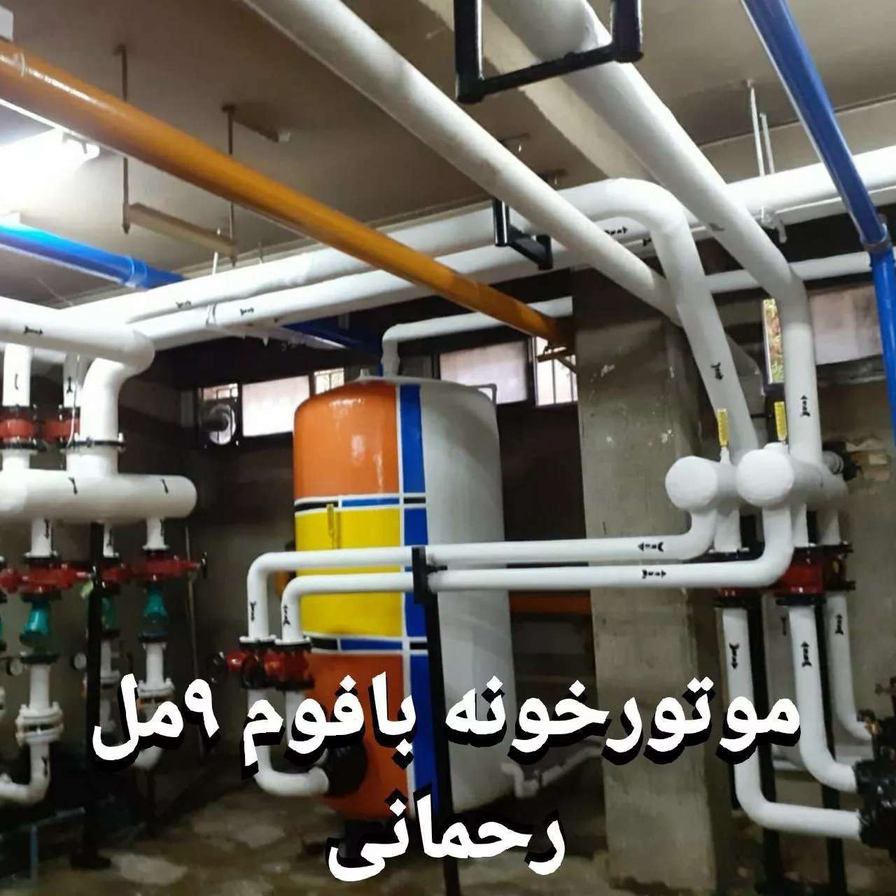 1690795306110.webp