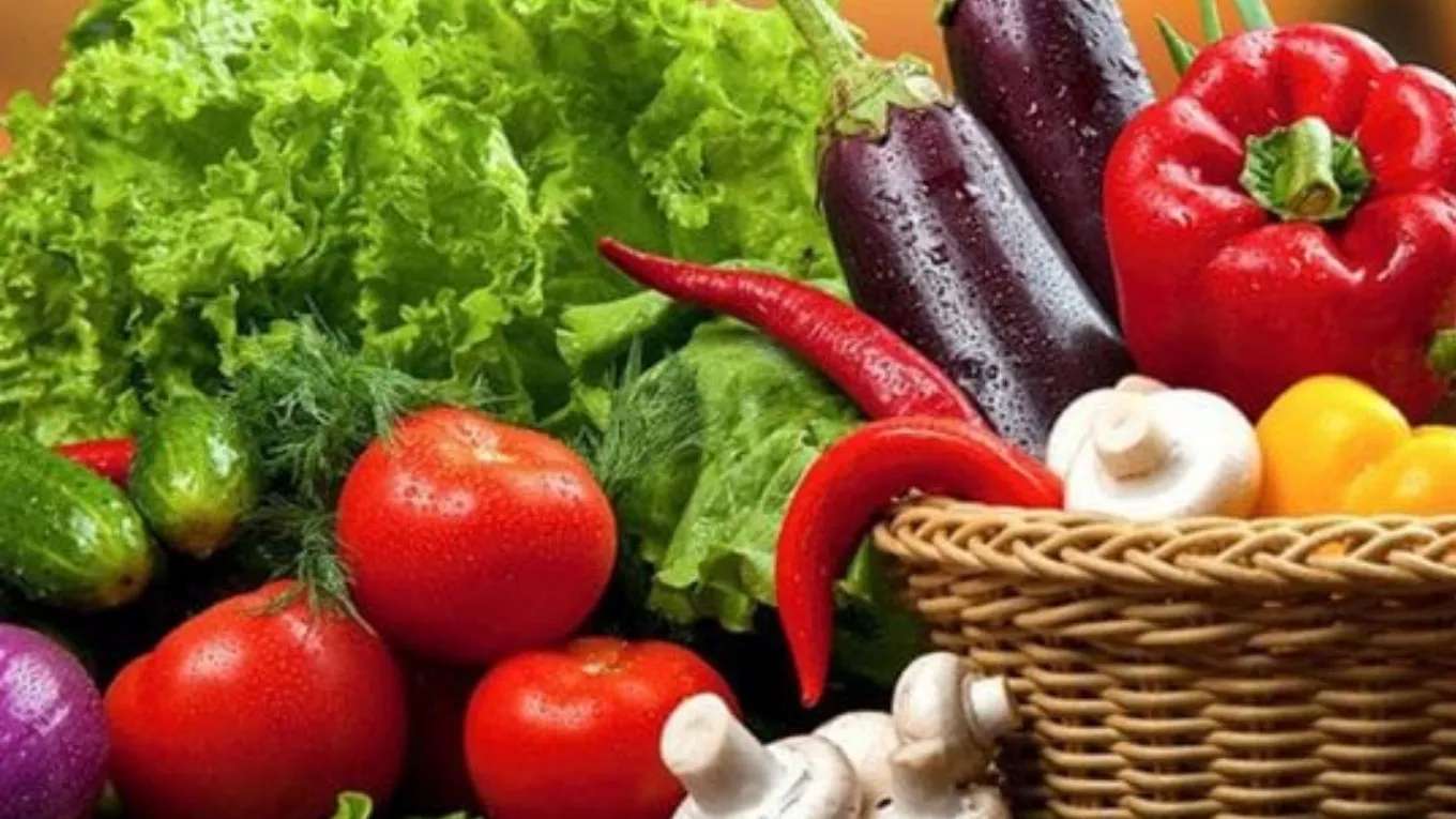 Grocery store, head shop, and summer store